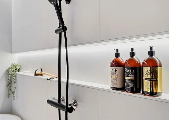 Smart Cinema Sauna Sonos Audio Garage